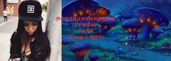 ECSTASY Кукмор