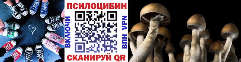 Галлюциногенные грибы MAGIC MUSHROOMS  Нытва 